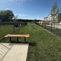 outside dog park area